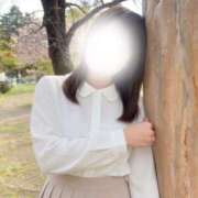 ヒメ日記 2026/07/13 11:10 投稿 桜花（おうか） NOA（ノア）