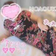 ヒメ日記 2026/07/27 11:08 投稿 桜花（おうか） NOA（ノア）