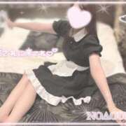 ヒメ日記 2026/08/03 11:31 投稿 桜花（おうか） NOA（ノア）