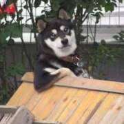 ヒメ日記 2025/03/06 17:51 投稿 ことみ 熟女の風俗最終章 相模原店