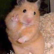 ヒメ日記 2025/04/02 01:21 投稿 ことみ 熟女の風俗最終章 相模原店