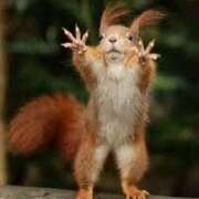 ヒメ日記 2025/04/05 23:51 投稿 ことみ 熟女の風俗最終章 相模原店