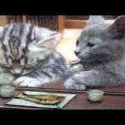 ヒメ日記 2025/04/16 19:02 投稿 ことみ 熟女の風俗最終章 相模原店