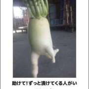 ヒメ日記 2025/05/30 02:01 投稿 ことみ 熟女の風俗最終章 相模原店