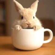 ヒメ日記 2026/02/12 12:22 投稿 ことみ 熟女の風俗最終章 相模原店