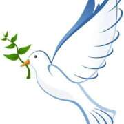 ヒメ日記 2026/02/12 23:20 投稿 ことみ 熟女の風俗最終章 相模原店