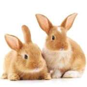 ヒメ日記 2026/03/09 20:39 投稿 ことみ 熟女の風俗最終章 相模原店