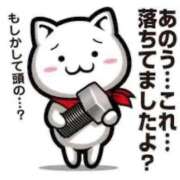 ヒメ日記 2026/04/07 03:01 投稿 ことみ 熟女の風俗最終章 相模原店