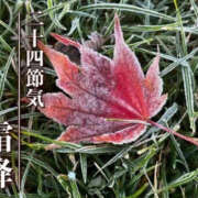 ヒメ日記 2026/10/23 09:20 投稿 ことみ 熟女の風俗最終章 相模原店