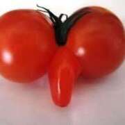 ヒメ日記 2025/03/08 00:30 投稿 ことみ 熟女の風俗最終章 町田店