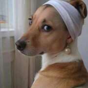 ヒメ日記 2025/04/09 05:41 投稿 ことみ 熟女の風俗最終章 町田店