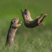 ヒメ日記 2025/04/15 18:21 投稿 ことみ 熟女の風俗最終章 町田店