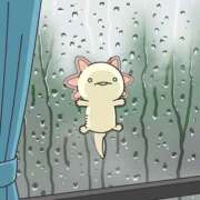 ヒメ日記 2025/06/11 17:23 投稿 ことみ 熟女の風俗最終章 町田店