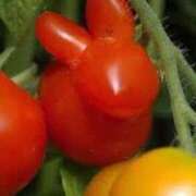 ヒメ日記 2025/07/08 23:50 投稿 ことみ 熟女の風俗最終章 町田店