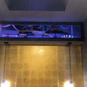 ヒメ日記 2025/08/26 16:26 投稿 ことみ 熟女の風俗最終章 町田店