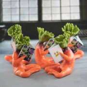 ヒメ日記 2025/08/30 06:20 投稿 ことみ 熟女の風俗最終章 町田店