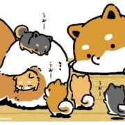 ヒメ日記 2025/11/18 02:30 投稿 ことみ 熟女の風俗最終章 町田店