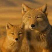 ヒメ日記 2025/11/25 17:29 投稿 ことみ 熟女の風俗最終章 町田店