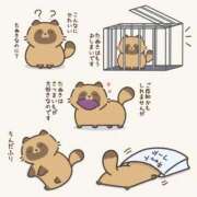 ヒメ日記 2025/11/29 00:40 投稿 ことみ 熟女の風俗最終章 町田店