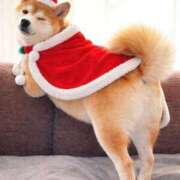 ヒメ日記 2025/12/24 10:50 投稿 ことみ 熟女の風俗最終章 町田店