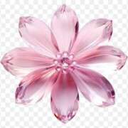 ヒメ日記 2025/12/28 04:01 投稿 ことみ 熟女の風俗最終章 町田店