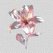 ヒメ日記 2026/01/16 23:30 投稿 ことみ 熟女の風俗最終章 町田店