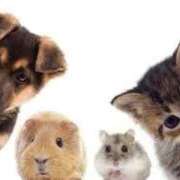 ヒメ日記 2026/01/21 17:48 投稿 ことみ 熟女の風俗最終章 町田店