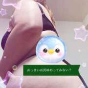 ヒメ日記 2026/02/11 13:00 投稿 ことみ 熟女の風俗最終章 町田店