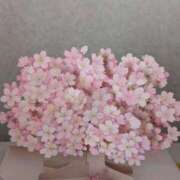 ヒメ日記 2026/03/04 13:50 投稿 ことみ 熟女の風俗最終章 町田店