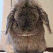 ヒメ日記 2026/03/20 16:20 投稿 ことみ 熟女の風俗最終章 町田店