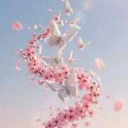 ヒメ日記 2026/03/22 02:20 投稿 ことみ 熟女の風俗最終章 町田店