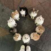 ヒメ日記 2026/04/11 01:50 投稿 ことみ 熟女の風俗最終章 町田店