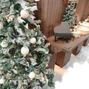 ひとみ ツリー🎄 福岡覚醒Ｍ性感 女医のカルテ