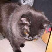 ヒメ日記 2025/09/07 19:40 投稿 田中ねね CLUB虎の穴 青山店