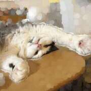 ヒメ日記 2026/01/03 01:39 投稿 田中ねね CLUB虎の穴 青山店