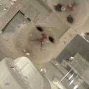 ヒメ日記 2026/02/05 21:40 投稿 田中ねね CLUB虎の穴 青山店