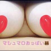 ヒメ日記 2026/01/31 17:05 投稿 れん 錦糸町ぽちゃカワ女子専門店！我慢できないの！