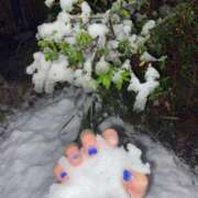 ヒメ日記 2024/12/19 12:06 投稿 那津(なつ) 京都泡洗体ハイブリッドエステ