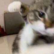 ヒメ日記 2025/08/15 19:23 投稿 那津(なつ) 京都泡洗体ハイブリッドエステ