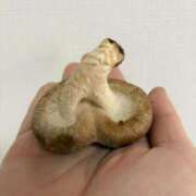 ヒメ日記 2026/01/21 22:01 投稿 那津(なつ) 京都泡洗体ハイブリッドエステ