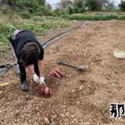 ヒメ日記 2026/02/13 20:00 投稿 那津(なつ) 京都泡洗体ハイブリッドエステ