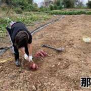 ヒメ日記 2026/03/20 18:03 投稿 那津(なつ) 京都泡洗体ハイブリッドエステ