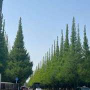 ヒメ日記 2025/04/19 20:17 投稿 美弥子(みやこ) 人妻出逢い会 百合の園 山の手本店