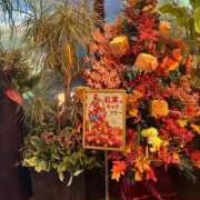 ヒメ日記 2025/10/06 15:57 投稿 美弥子(みやこ) 人妻出逢い会 百合の園 山の手本店