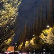 美弥子(みやこ) お誘いありがとうございます 人妻出逢い会 百合の園 山の手本店