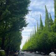 美弥子(みやこ) お出かけしています 人妻出逢い会 百合の園 山の手本店