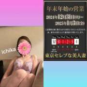 ヒメ日記 2024/12/14 00:31 投稿 一花 東京セレブな美人妻