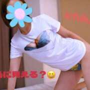 ヒメ日記 2024/12/16 16:50 投稿 一花 東京セレブな美人妻