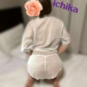 ヒメ日記 2025/10/25 02:41 投稿 一花 東京セレブな美人妻