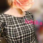 ヒメ日記 2025/12/19 04:21 投稿 一花 東京セレブな美人妻